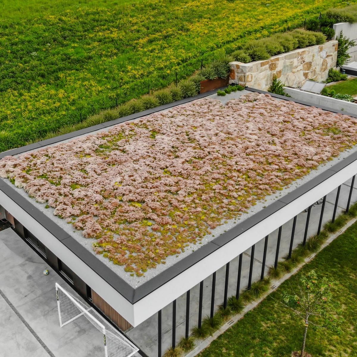 Flachdach mit Dachbegrünung Flachdach mit Dachbegrünung